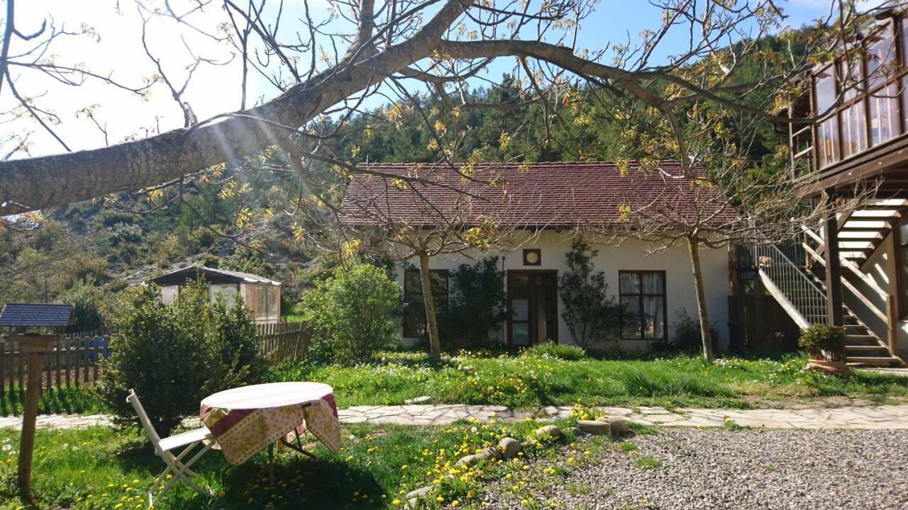 דירות Ansó Casa Turreta מראה חיצוני תמונה